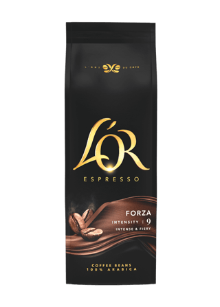 500g beans forza 495x692